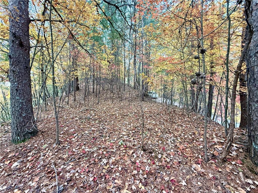 526 Fedorak Court Ranger, GA 30734 - Photo 6 of 11 a view of house with trees all around