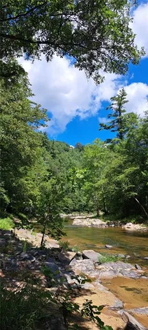 a close up of a sink in a garden