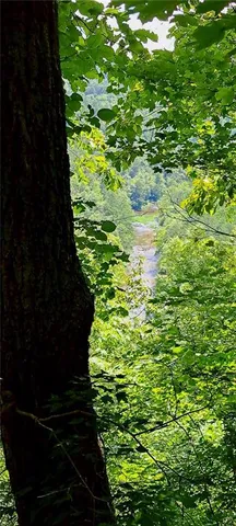 a view of a trees with an outdoor space