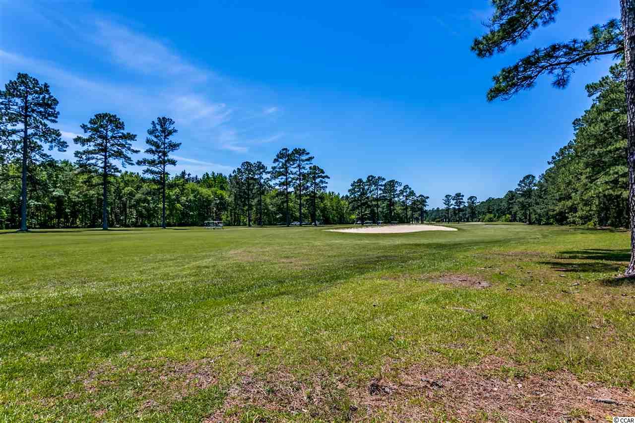 143 Francis Parker Road Georgetown, SC 29440 - Photo 21 of 25 Gallery Image 21