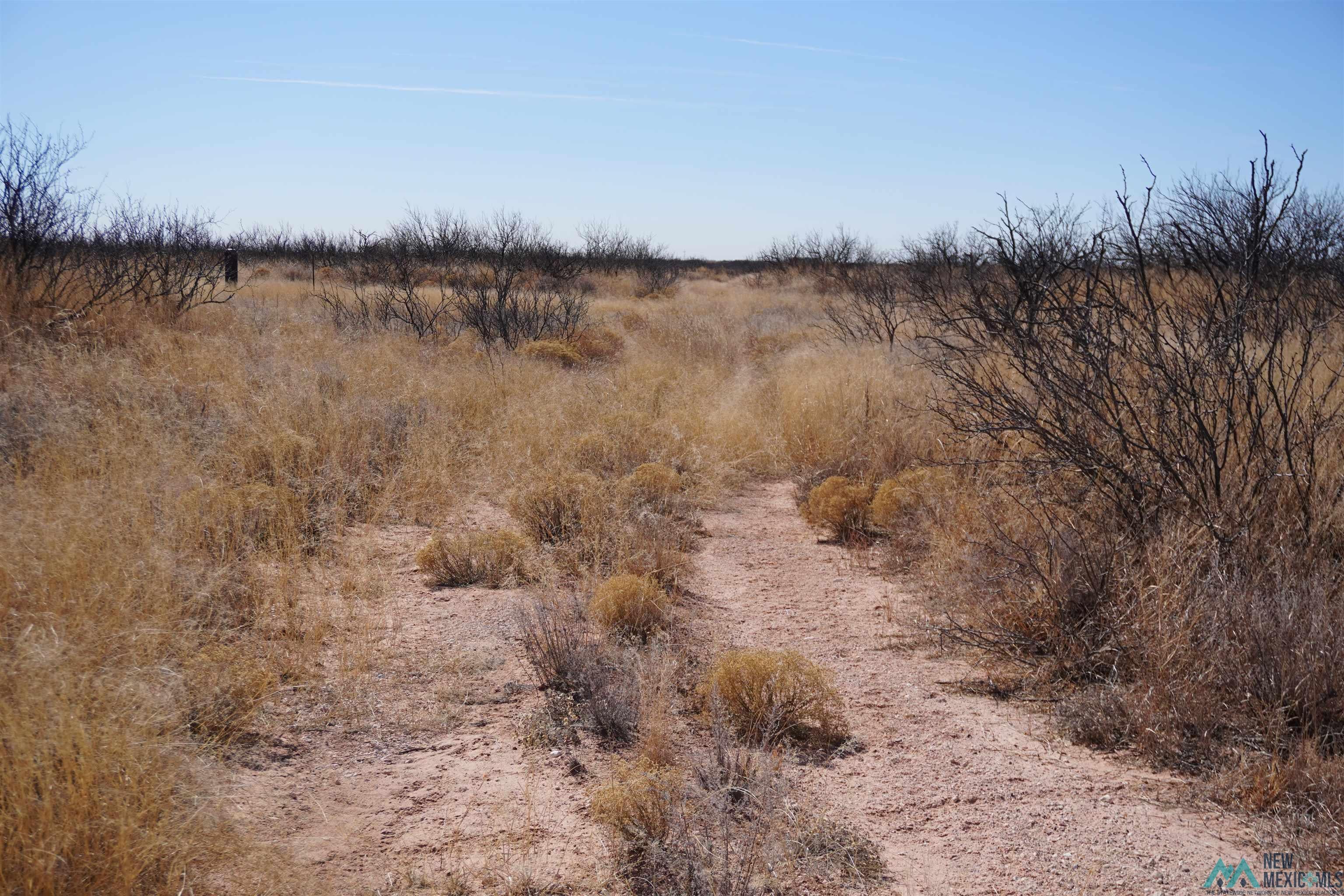 563 Childress Road Monument, NM 88265 - Photo 7 of 8 View of nature with rural landscape