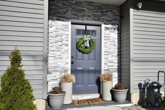 a view of a potted plant sitting in front of a door