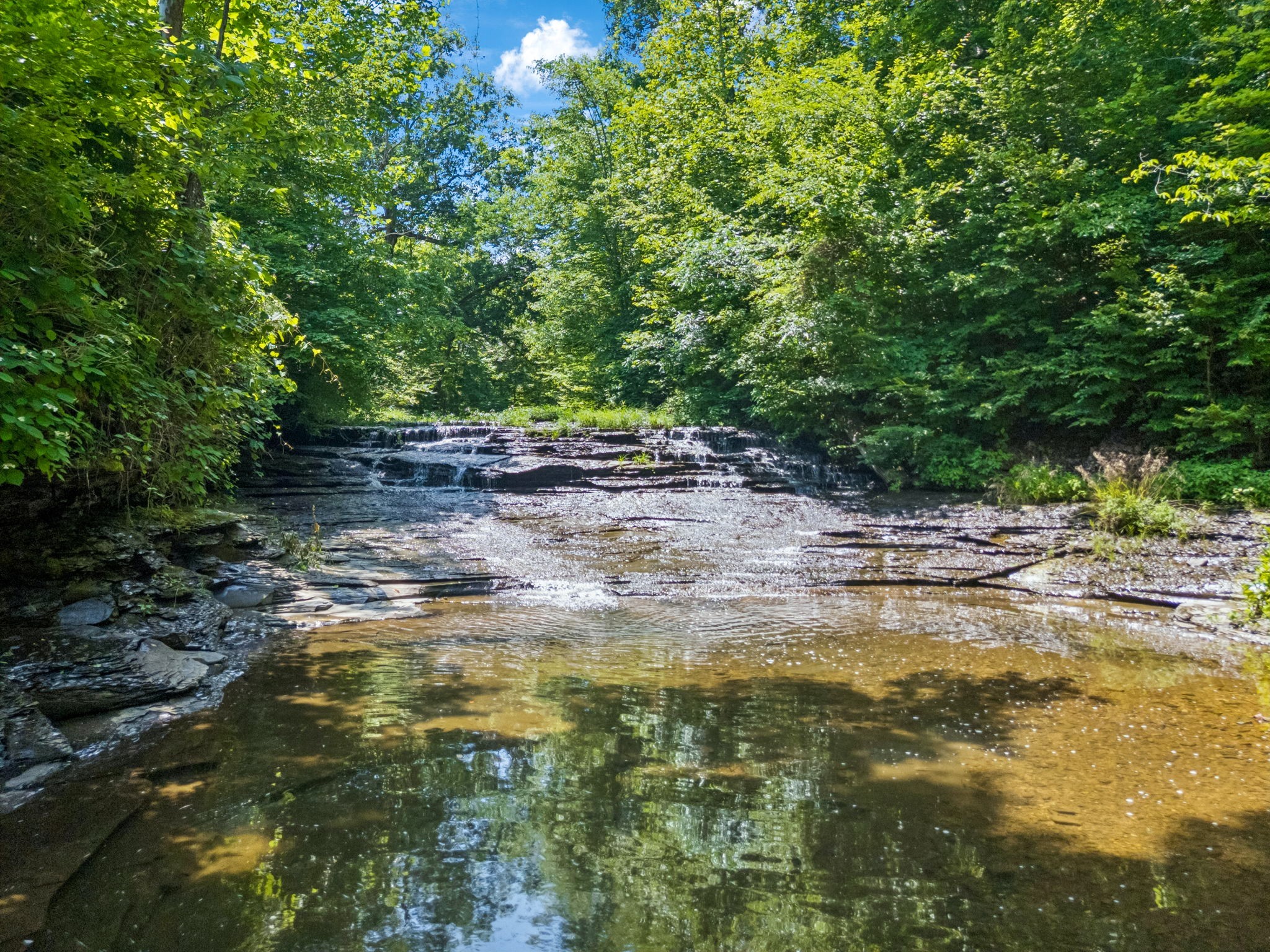 5185 Old Harding Road Fairview, TN 37062 - Photo 4 of 42