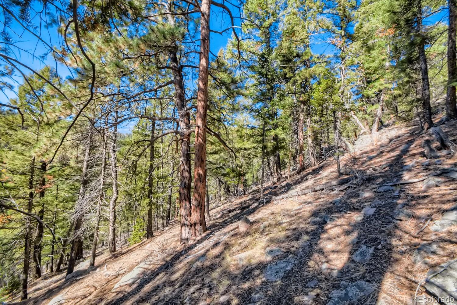Elsie Road Conifer, CO 80433 - Photo 12 of 28 a view of an outdoor space and a yard