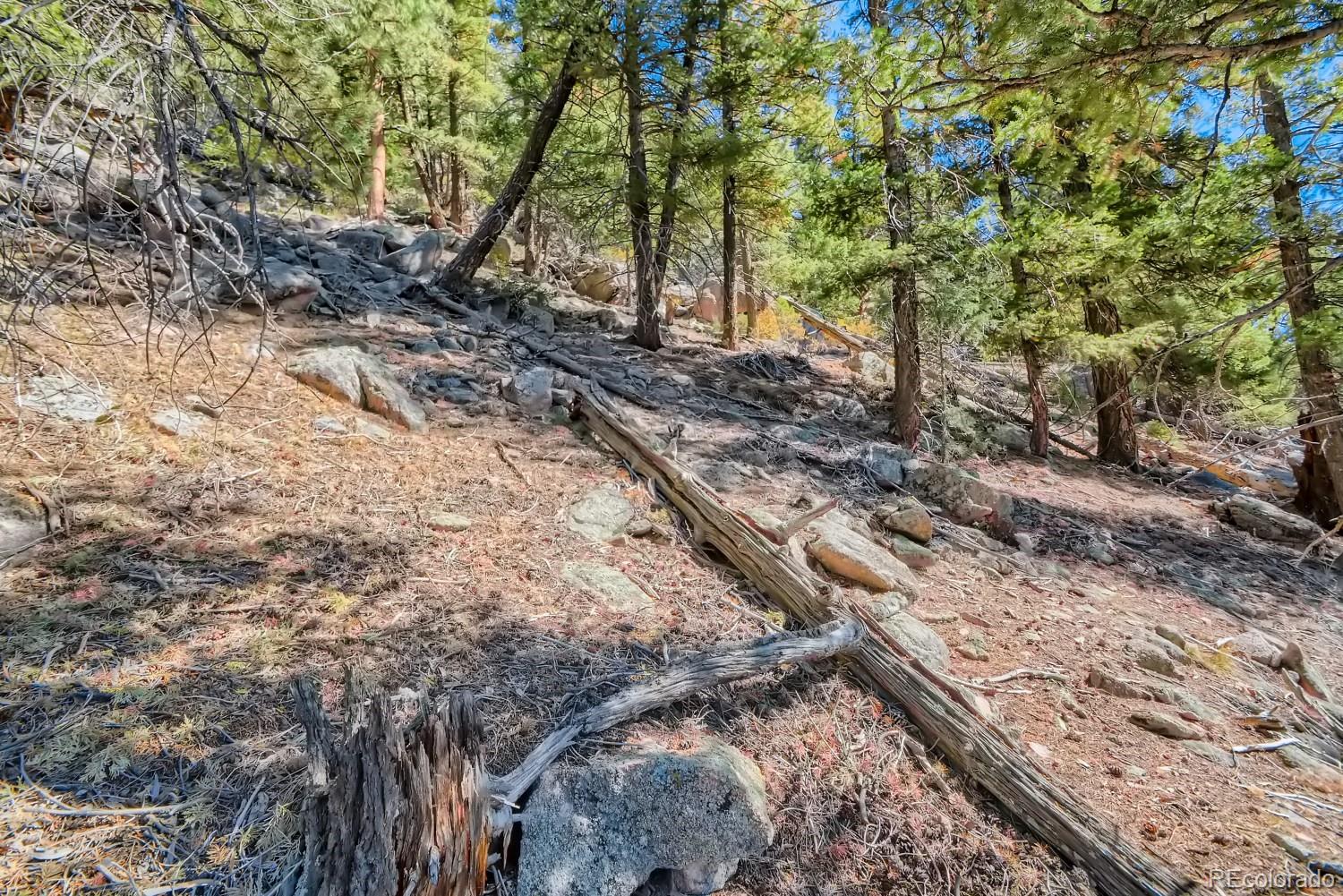 Elsie Road Conifer, CO 80433 - Photo 17 of 28 a view of a yard with plants and trees
