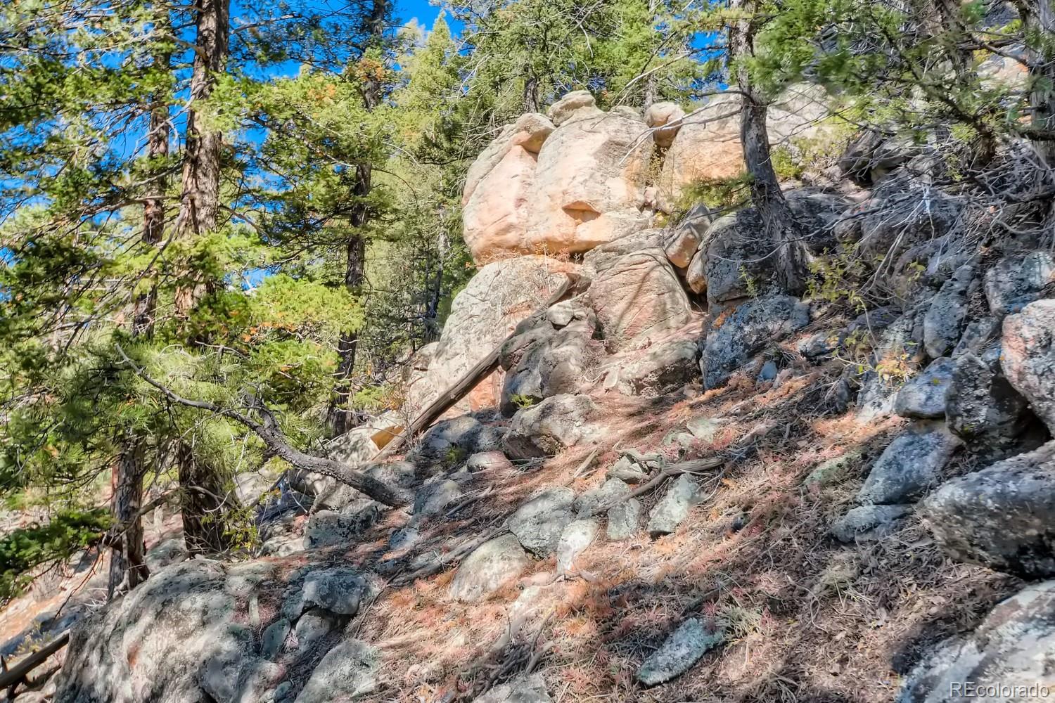 Elsie Road Conifer, CO 80433 - Photo 19 of 28 a view of a tree in a field