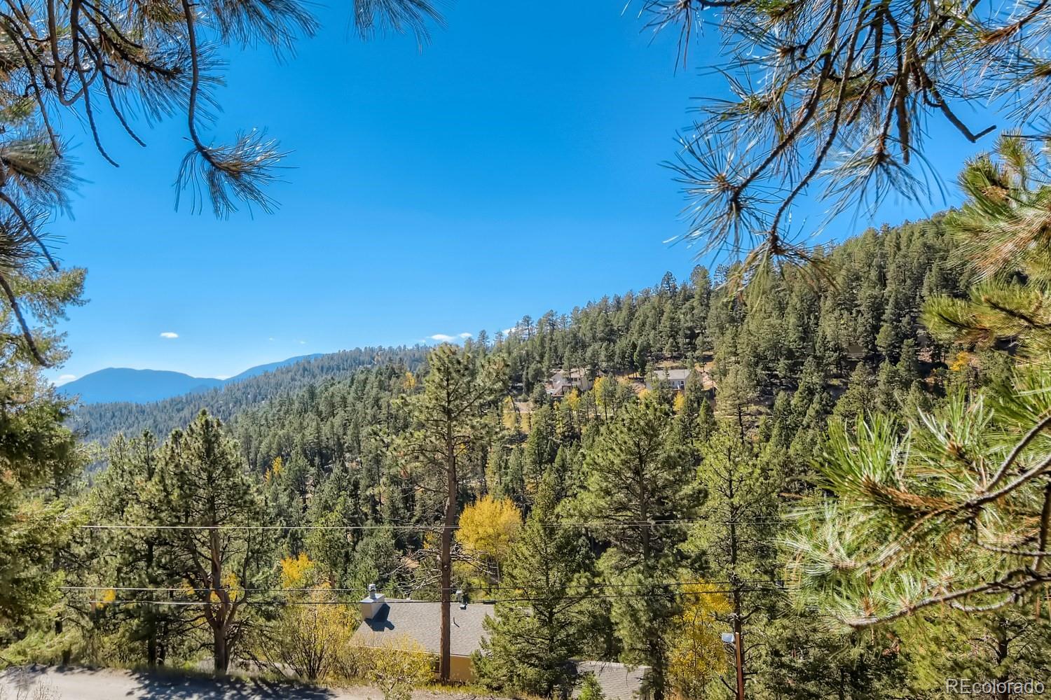 Elsie Road Conifer, CO 80433 - Photo 2 of 28 a view of a yard