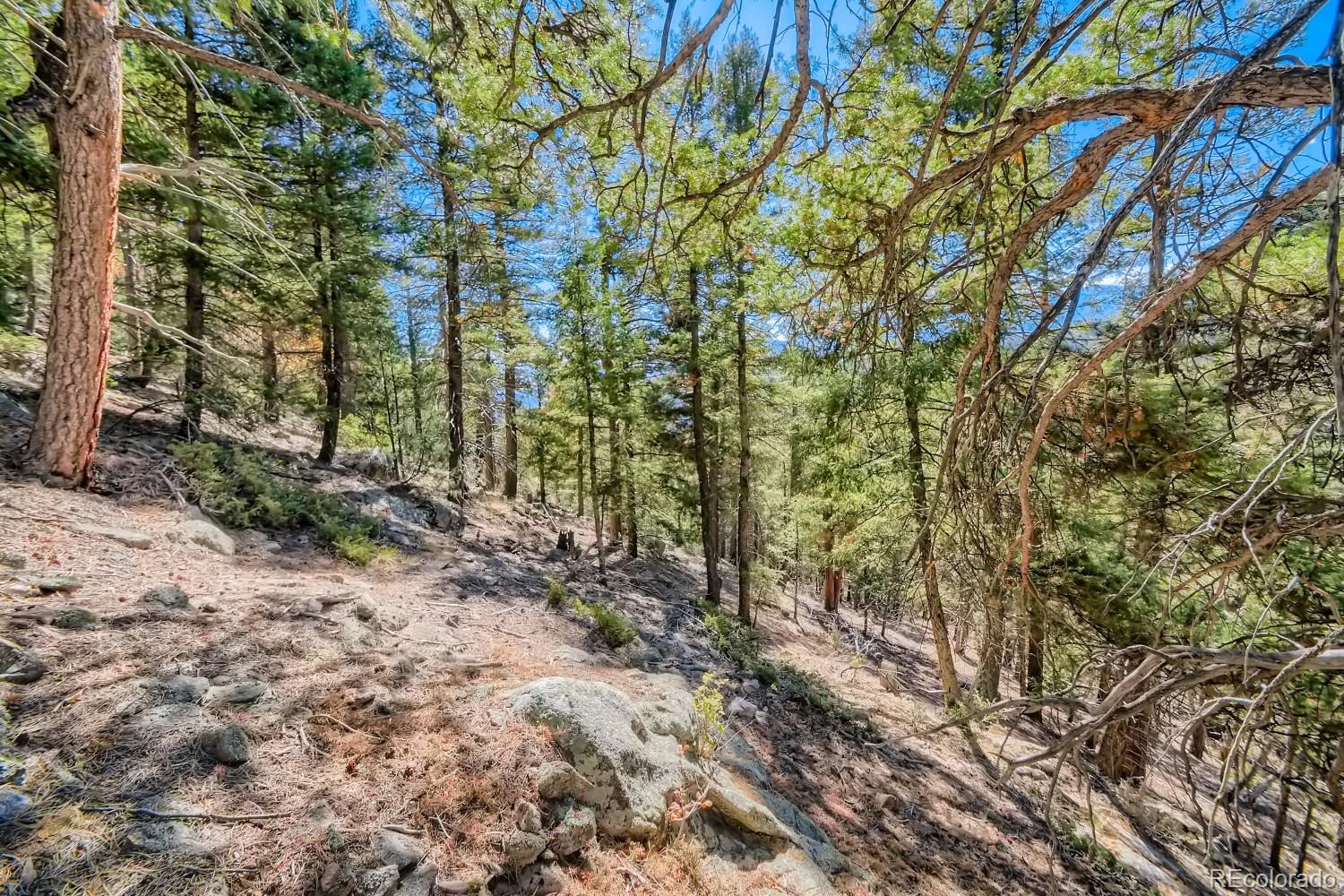 Elsie Road Conifer, CO 80433 - Photo 21 of 28 a view of a yard with plants and trees