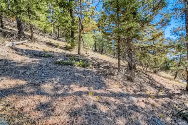 a view of a road with trees in the background