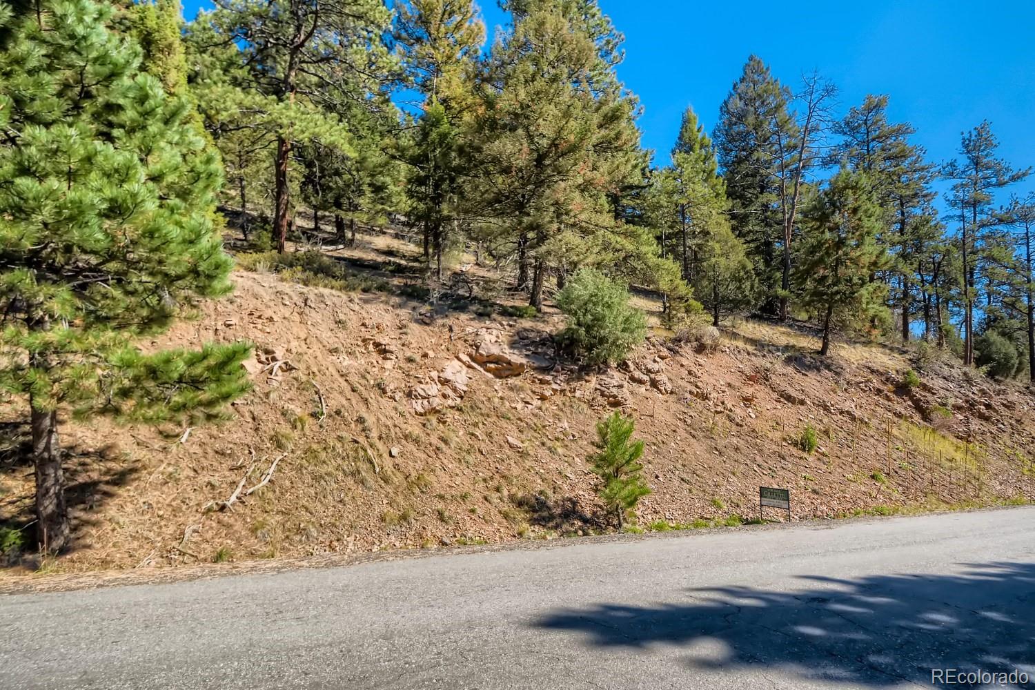 Elsie Road Conifer, CO 80433 - Photo 26 of 28 a view of a road with trees in the background