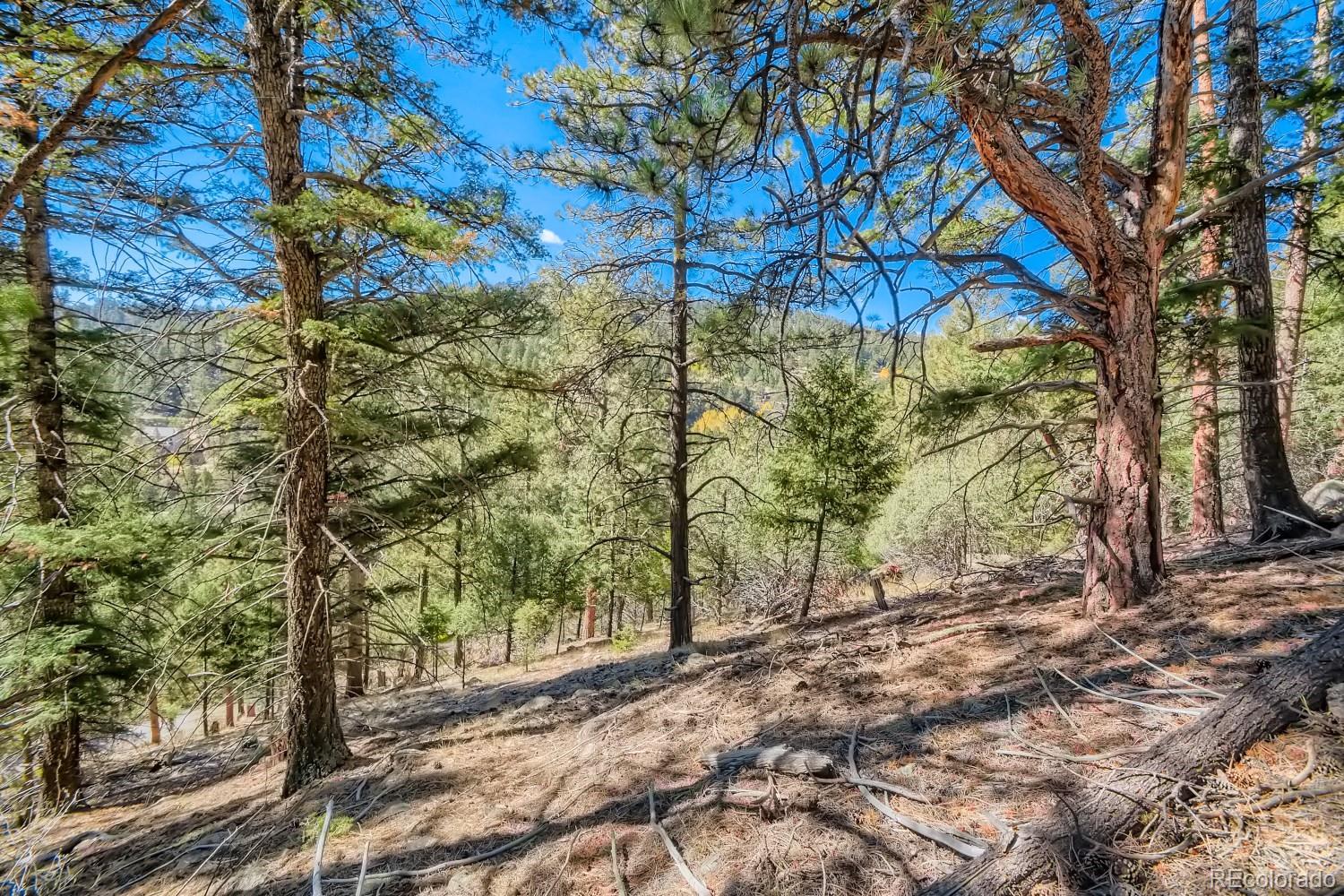 Elsie Road Conifer, CO 80433 - Photo 6 of 28 a view of backyard with tree