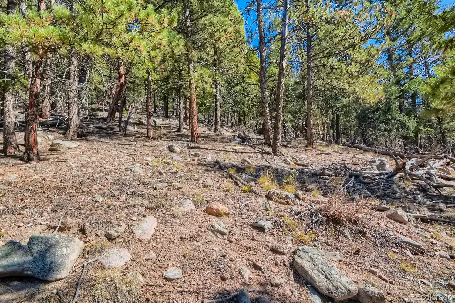 Elsie Road Conifer, CO 80433 - Photo 7 of 28 a view of outdoor space with trees