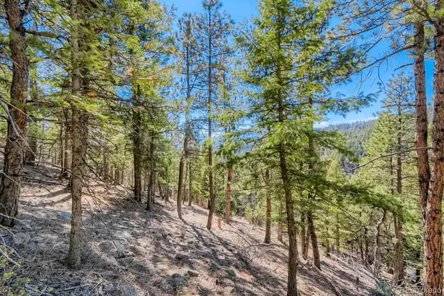 a view of outdoor space and tree