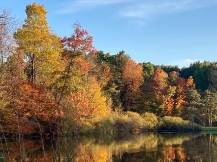 a backyard of a house with lots of green space