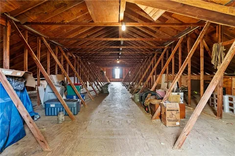 a view of a yard with plants and wooden fence