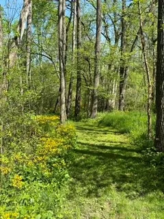 a picture of a wall with a white wall and a white wall
