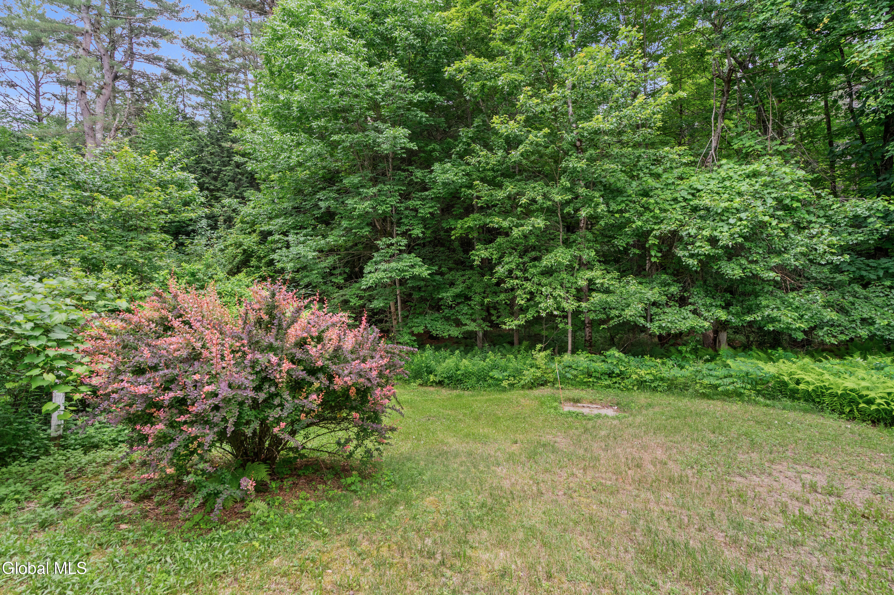 24 Hack Road Corinth, NY 12822 - Photo 28 of 45 28-print-24-hack-rd
