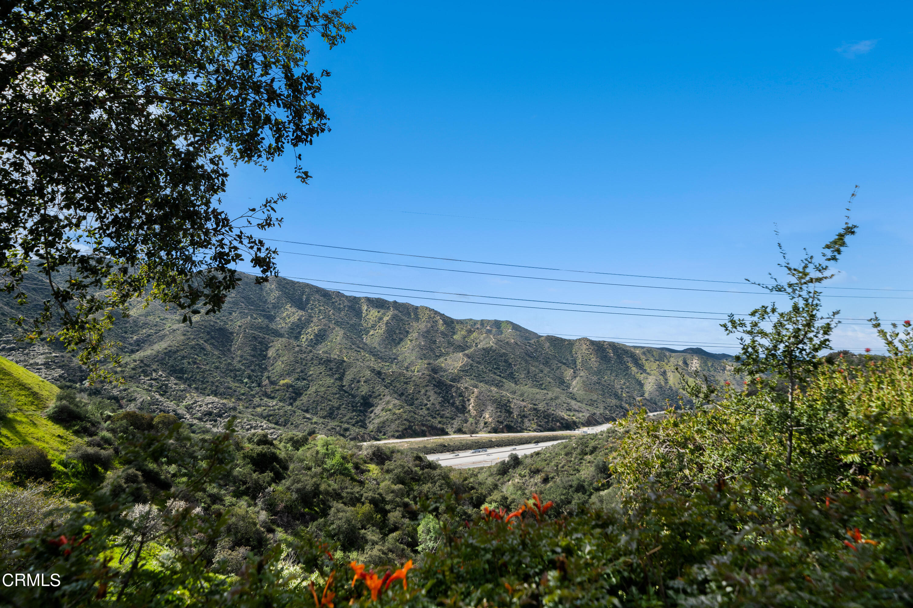7024 Charrick Place Tujunga, CA 91042 - Photo 37 of 45 a view of a yard with a tree