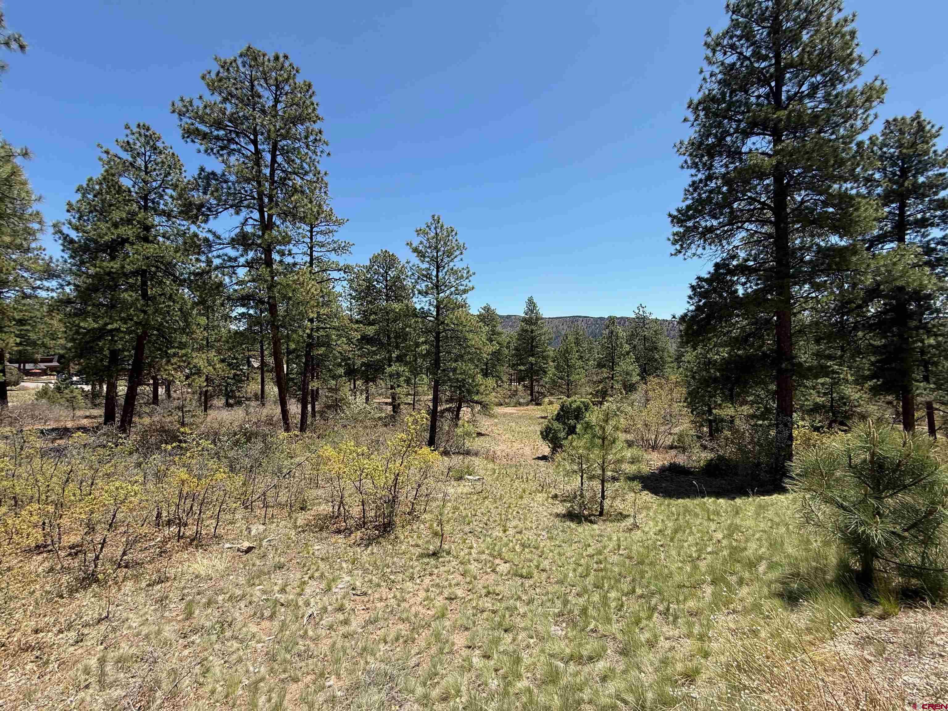 Tbd Ventana Pass Durango, CO 81301 - Photo 3 of 6 a view of a yard with a tree