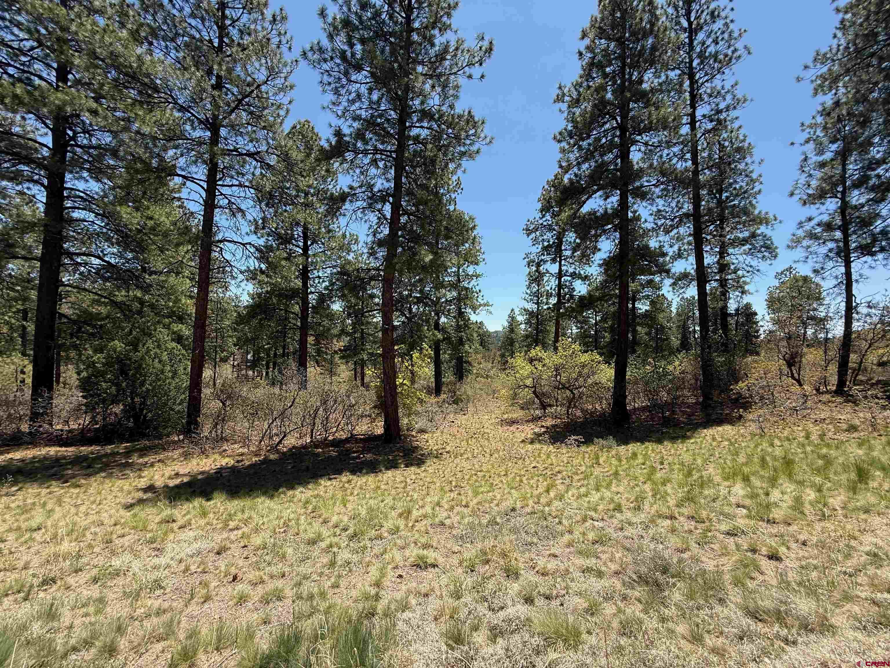 Tbd Ventana Pass Durango, CO 81301 - Photo 4 of 6 a view of a yard covered with snow in the yard