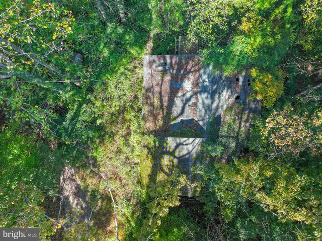a backyard of a house with lots of trees