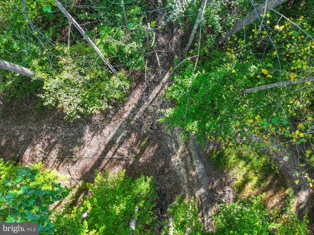 a backyard of a house with lots of trees