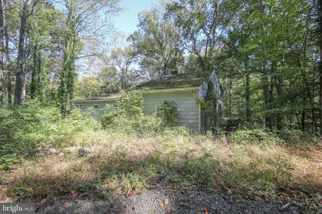 a view of a lake with large trees