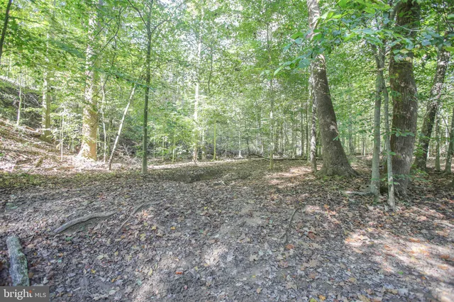 a view of outdoor space and view