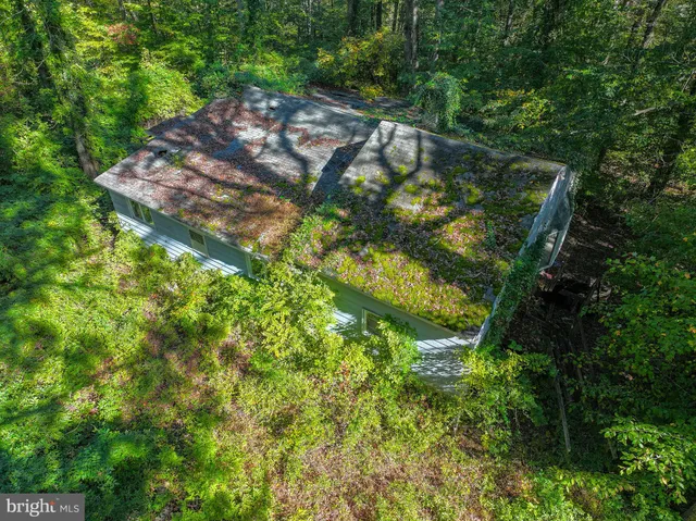 a yard with lots of trees