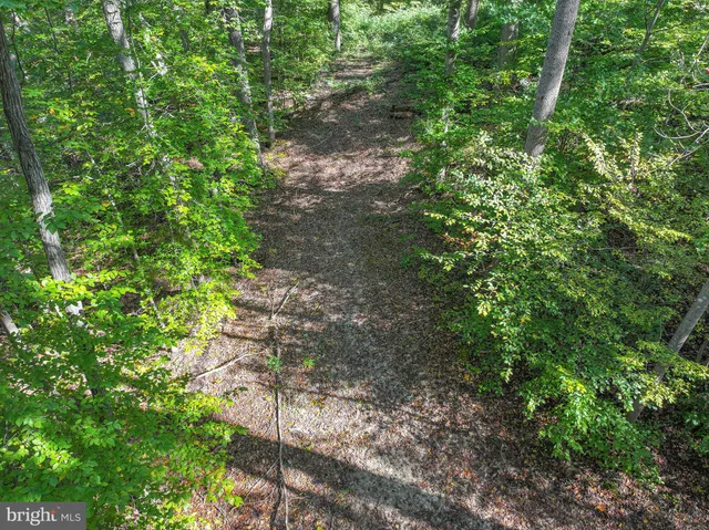 a plant view in yard