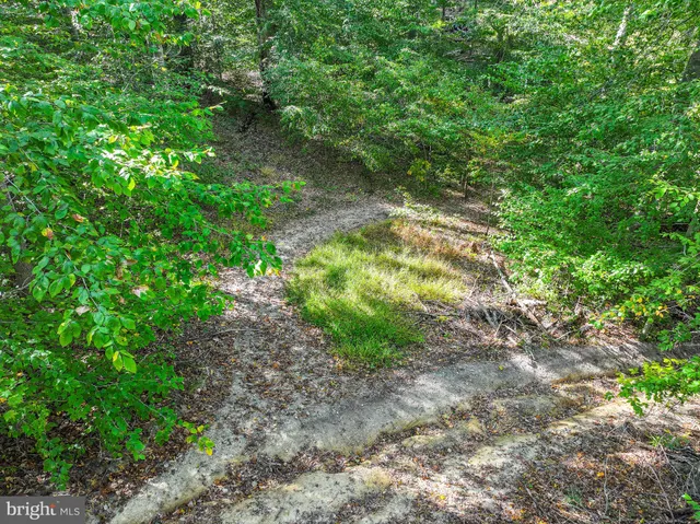 a backyard of a house with lots of green space and chair