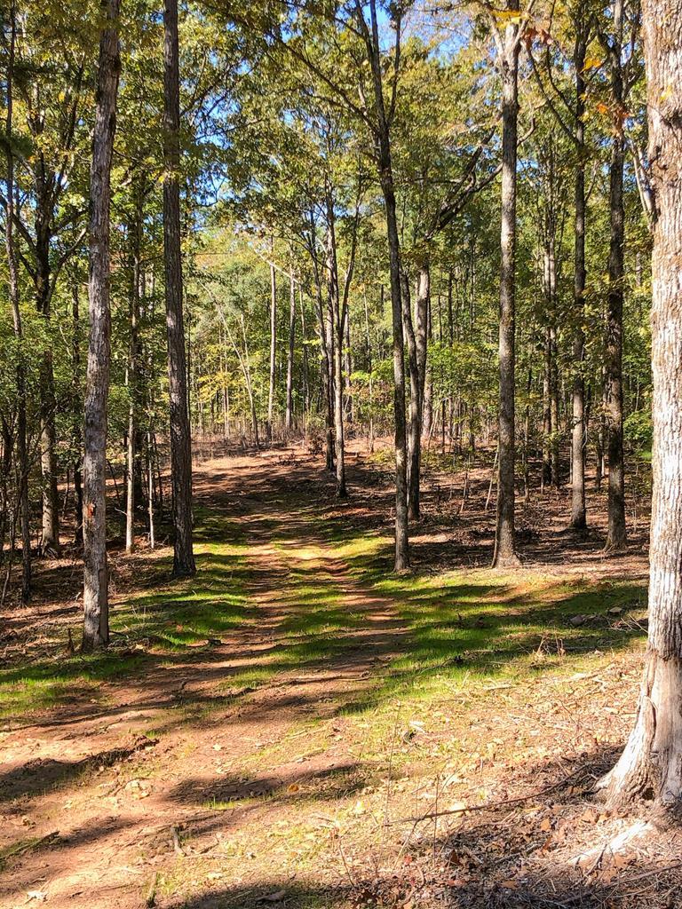 1 A Milner Road Shiloh, GA 31826 - Photo 21 of 39 Gallery Image 21