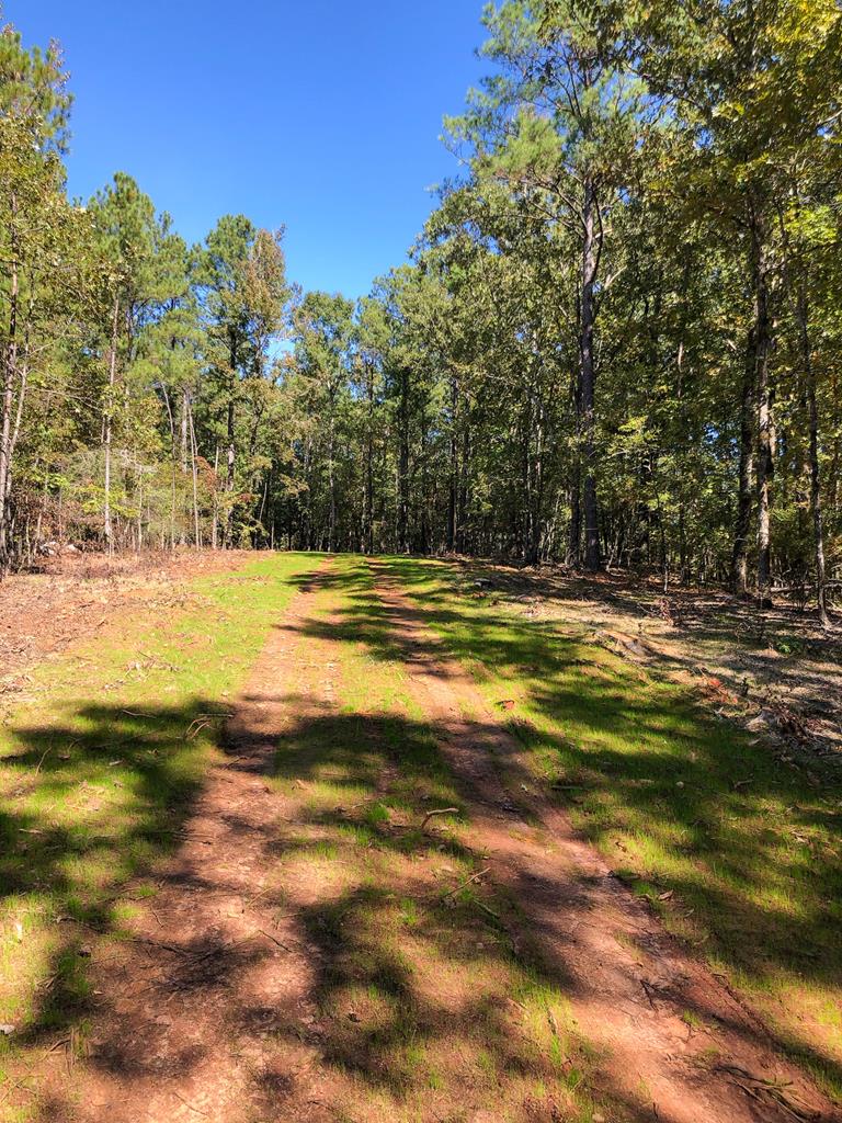 1 A Milner Road Shiloh, GA 31826 - Photo 34 of 39 Gallery Image 34