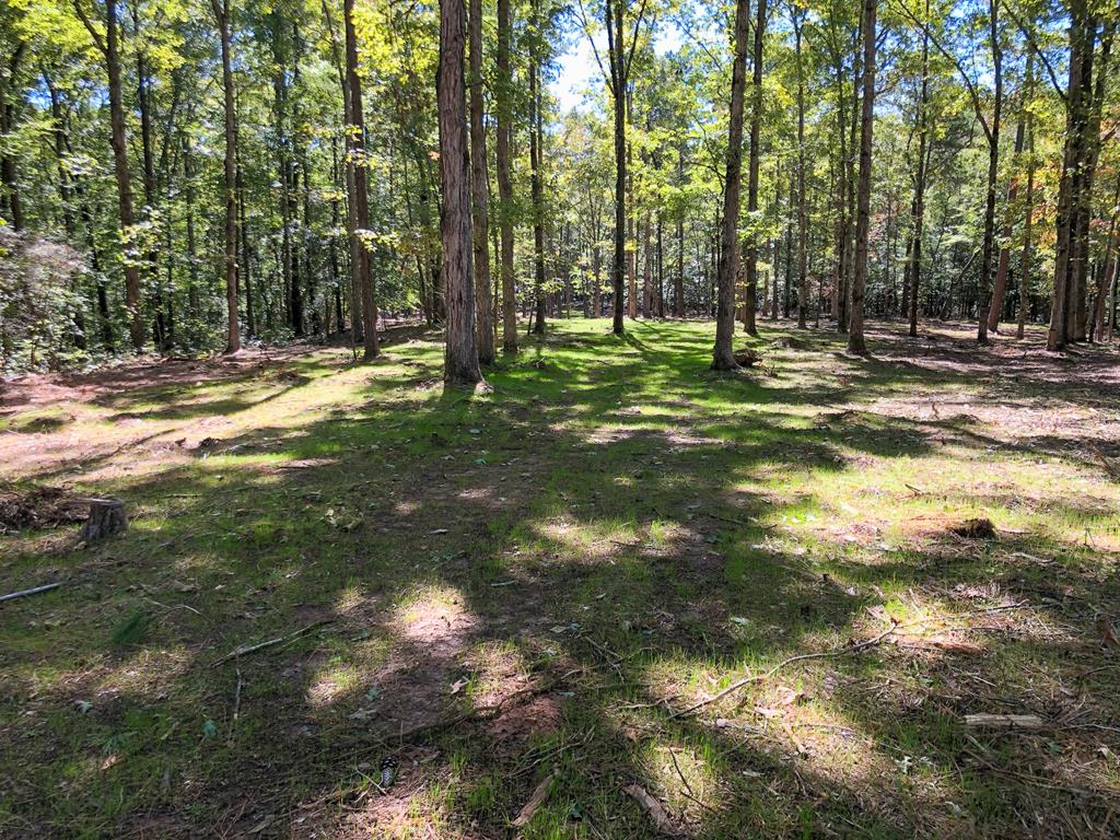 1 A Milner Road Shiloh, GA 31826 - Photo 36 of 39 Gallery Image 36