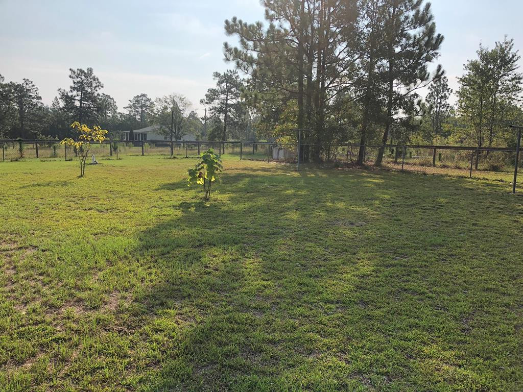 844 Windsor Road Windsor, SC 29856 - Photo 6 of 21