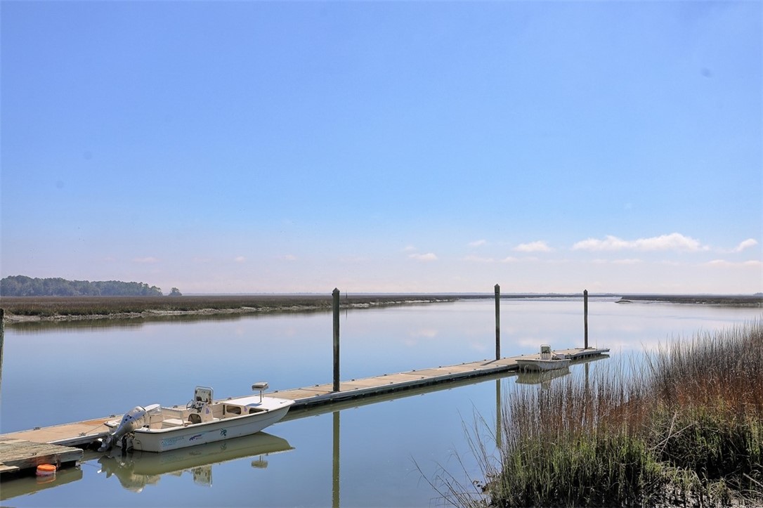 1130 Fishermans Lodge Rd N East Townsend, GA 31331 - Photo 26 of 28