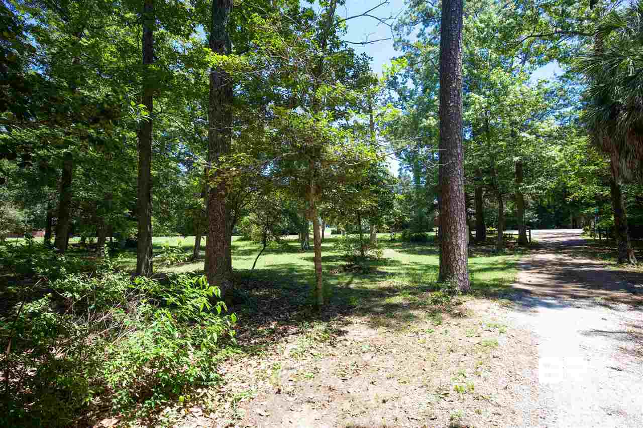 Main Street Daphne, AL 36526 - Photo 1 of 4