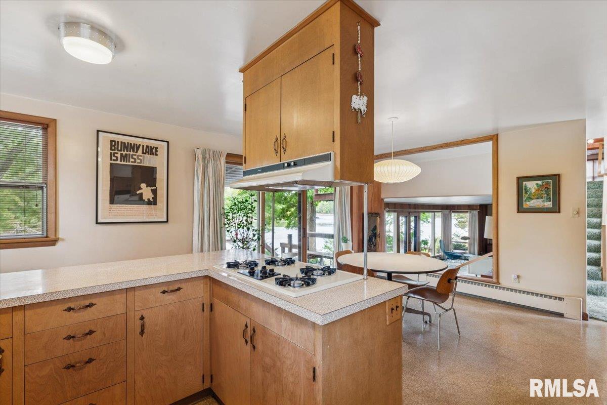 1939 South Lake Storey Road Galesburg, IL 61401 - Photo 29 of 68