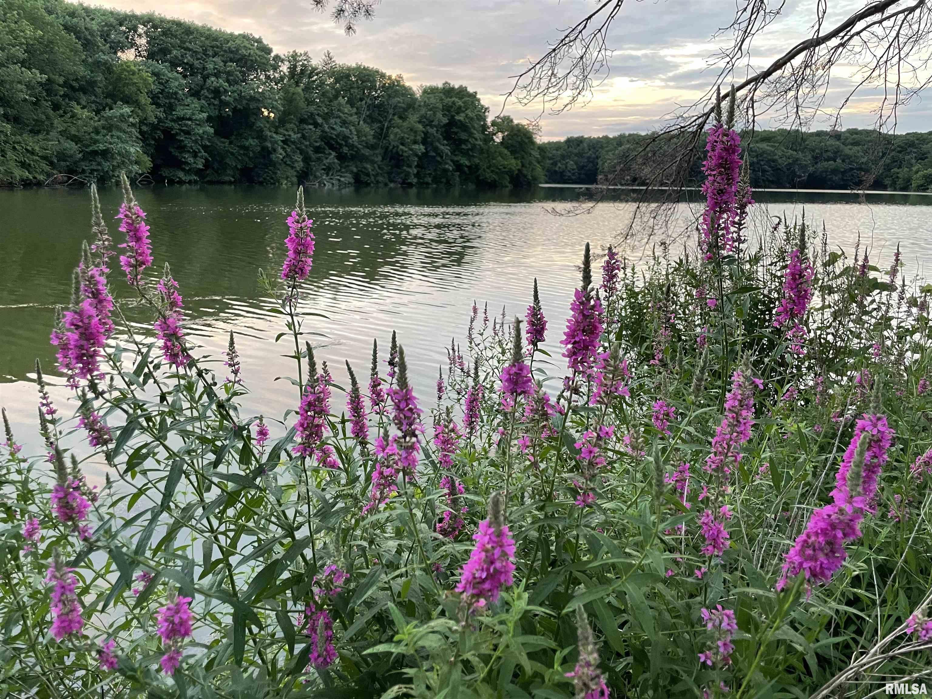 1939 South Lake Storey Road Galesburg, IL 61401 - Photo 58 of 68