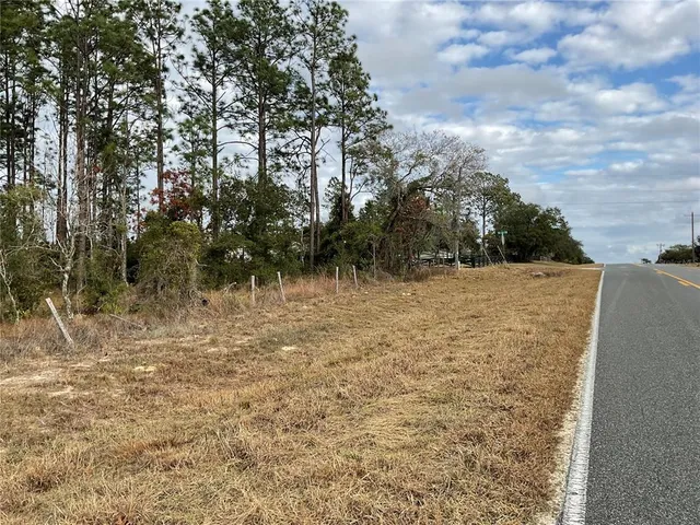 $28,000 | Tbd East Levy Street, Williston, FL 32696