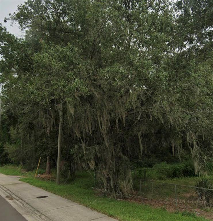 330 Marcum Road Lakeland, FL 33809 - Photo 7 of 12
