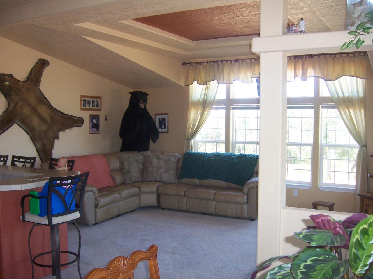 7650 Fisher Road Shingletown, CA 96088 - Photo 4 of 8 a living room with furniture and a large window
