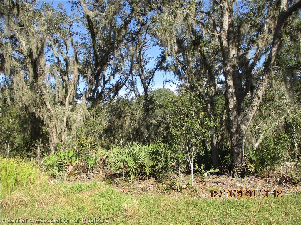 Gallery Image 7
