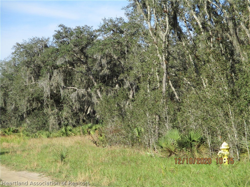 3260 West Chelsea Road Avon Park, FL 33825 - Photo 8 of 10 Gallery Image 8