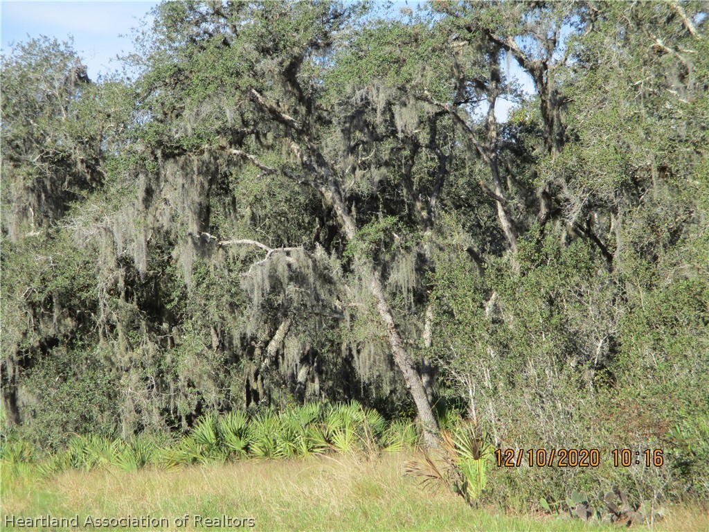 3260 West Chelsea Road Avon Park, FL 33825 - Photo 9 of 10 Gallery Image 9