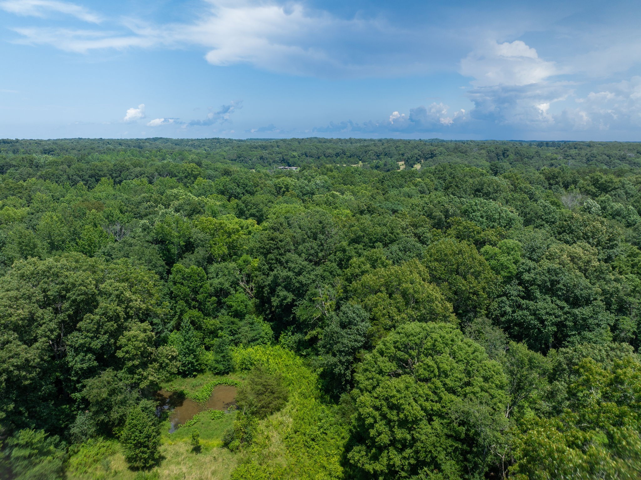 0 Barren Fork Bridge Road Bon Aqua, TN 37025 - Photo 5 of 28