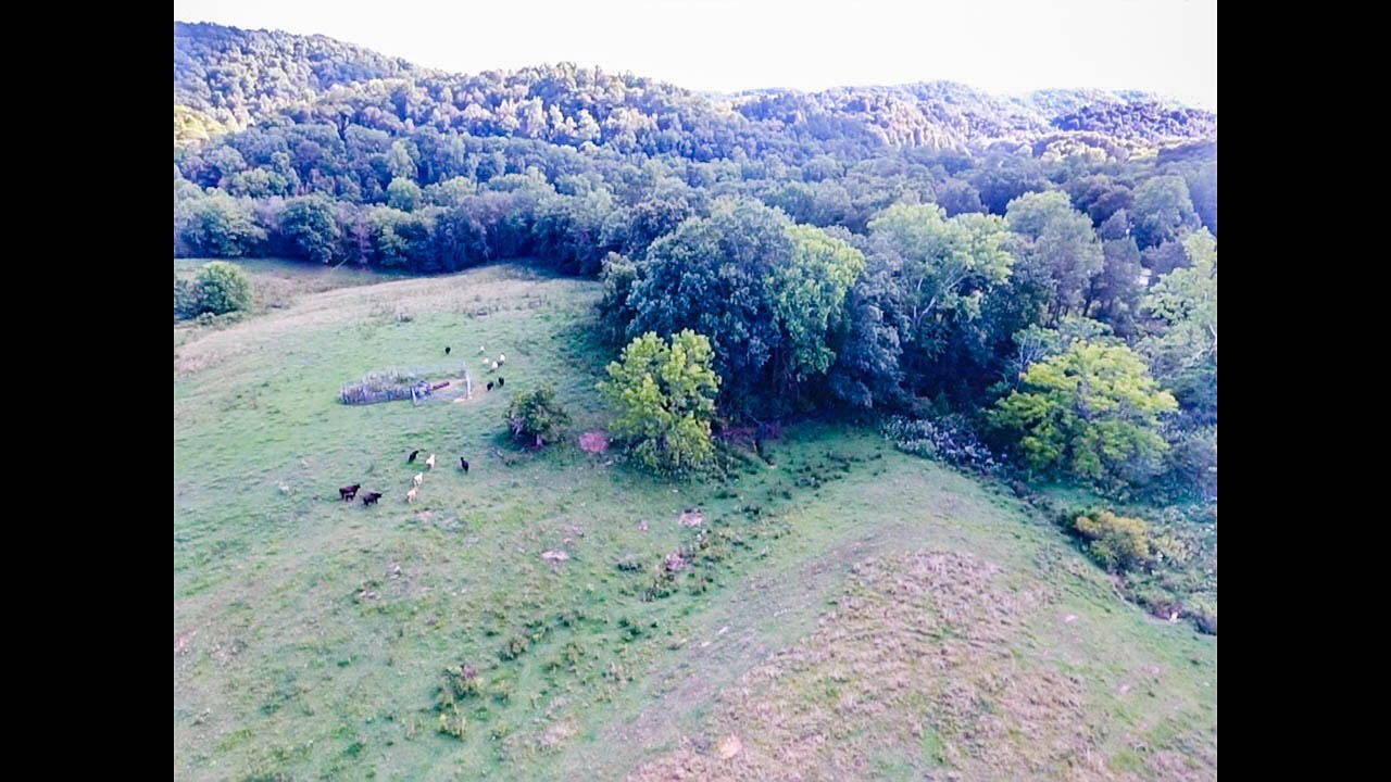 203 Satterfield Road Luttrell, TN 37779 - Photo 25 of 39 Gallery Image 25
