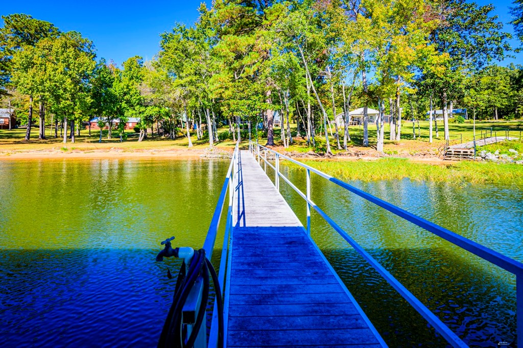 589 Miller Road Abbeville, AL 36310 - Photo 41 of 72 Dock