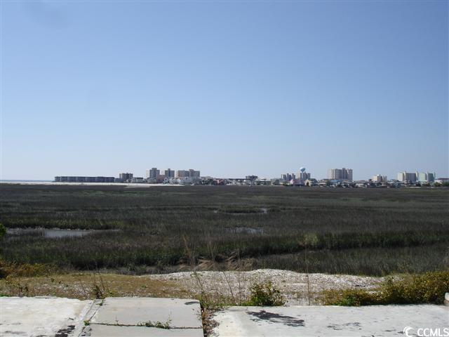 Tbd C Tbd C Jacks Circle Road North Myrtle Beach, SC 29582 - Photo 2 of 4