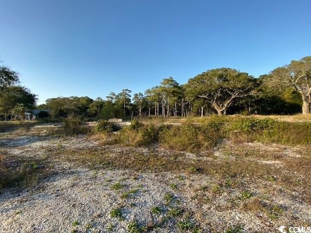 Tbd C Tbd C Jacks Circle Road North Myrtle Beach, SC 29582 - Photo 3 of 4